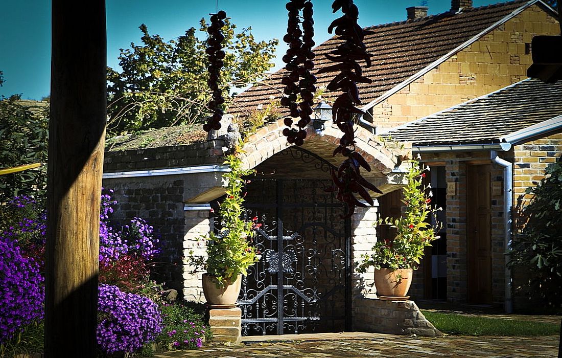 Entrance in the Wine cellar on the estate Didin Konak